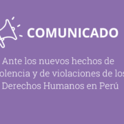 Comunicado acerca de la situación de Perú